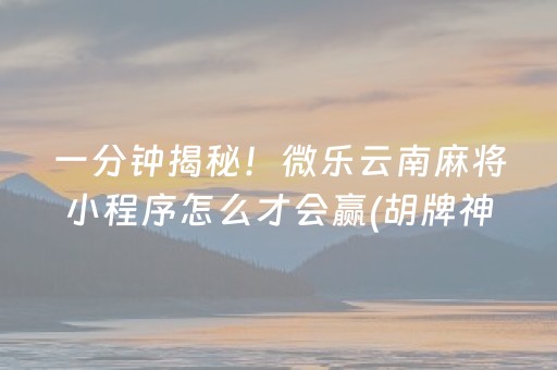 必看盘点揭秘“微乐宁夏麻将插件购买”（专用神器)