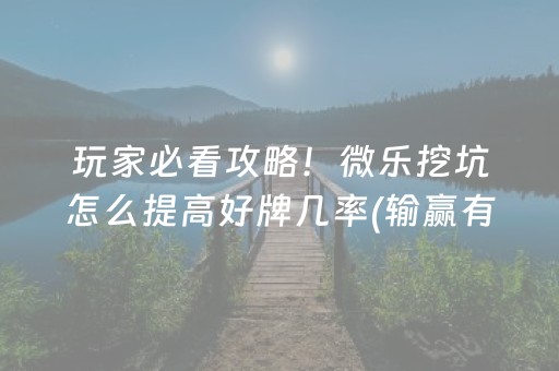 终于懂了“微乐陕西挖坑助赢神器”（透明挂辅助器)