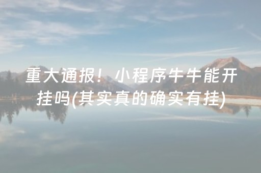 必备攻略“财神十三张特殊牌开挂”（插件开挂免费AI)