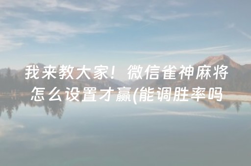 玩家必备教程“微乐福建麻将专用神器”（究竟是不是有挂)