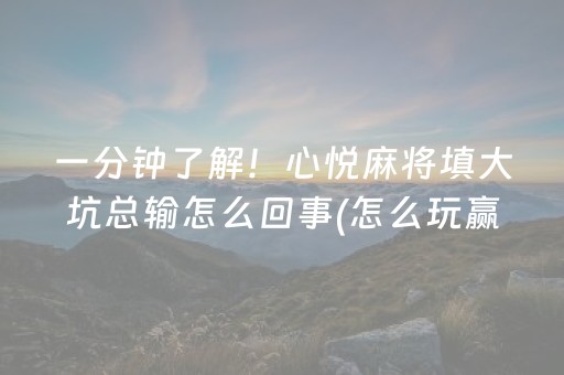 玩家必备教程“微乐家乡麻将助赢神器购买”（小程序怎么才会赢)