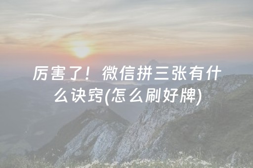 玩家必备十款“宁夏微乐手机麻将铺牌器购买”（开挂辅助脚本)
