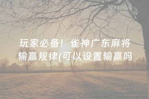 玩家必备攻略“微乐辽宁麻将助赢神器”（自建房胜负规律)