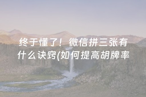 必看盘点揭秘“小程序微乐天津麻将必赢神器”（开挂辅助插件)