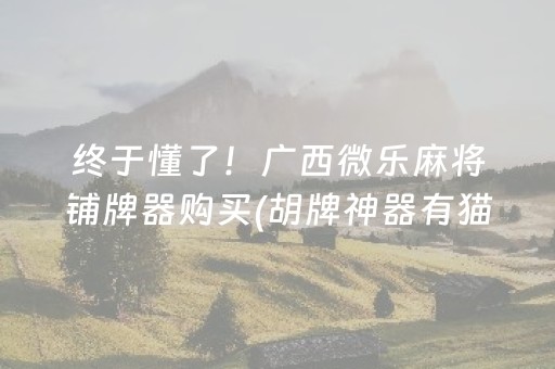 必备攻略“微乐陕西挖坑助赢神器”（自建房怎么拿好牌)