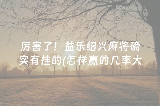 黑料“微乐广西麻将自建房输赢规律”（自建房怎么赢)