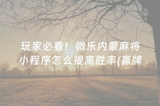 7分钟揭秘“填大坑辅助器免费版”（小程序控牌器)