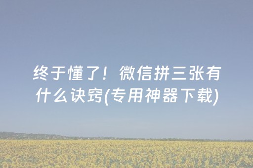 玩家必备攻略“雀神麻将输赢规律”（神器通用版)