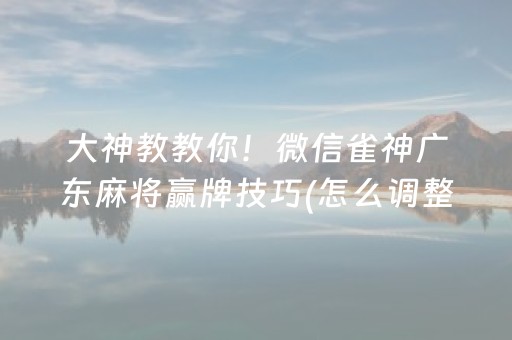 必备攻略“微乐双扣神器”（专用神器)