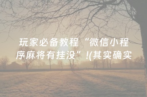 我来教大家“微乐陕西麻将助赢神器”（助赢神器购买)