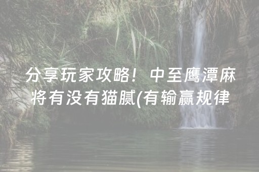 关于“微乐甘肃麻将助赢神器购买”（透明器教程)