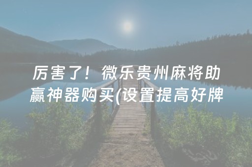 厉害了！微乐贵州麻将助赢神器购买(设置提高好牌几率)