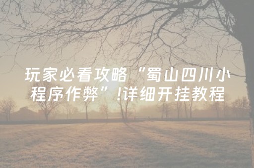 盘点十款“微乐锄大地记牌器怎么使用”（怎么控制输赢)