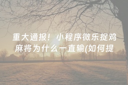 给玩家盘点十款“财神十三张辅助器”（万能开挂神器)
