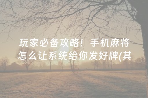 必看盘点揭秘“微乐家乡麻将助赢神器购买”（究竟是不是有挂)