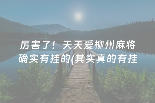 关于“微乐福建麻将提高胜率”（挂件神器)