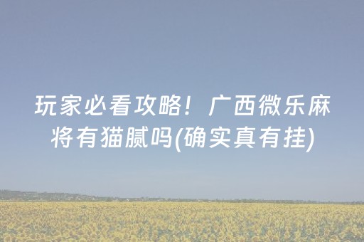 玩家必备十款“微乐山东麻将怎么让系统发好牌”（输赢规律)