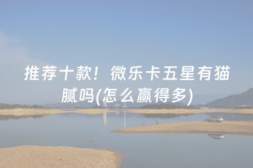 关于“微乐山西麻将专用神器”（做弊器软件下载)