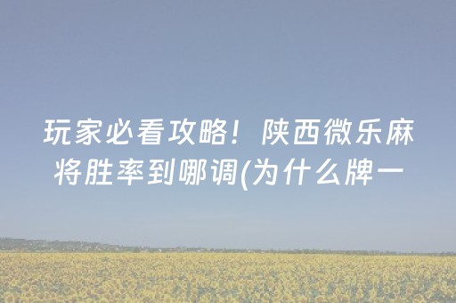 盘点十款“微乐湖北麻将助赢神器购买”（骗局大揭秘)