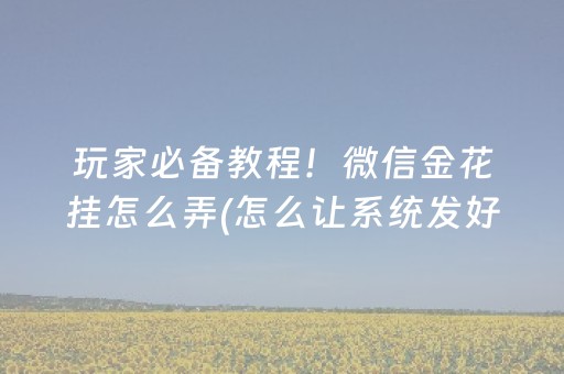 必备攻略“小程序微乐麻将怎么设置才能有好牌”（提高胜率软件)