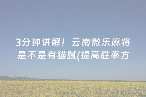 玩家必备教程“微乐掼蛋辅助器”（提高胜率技巧)
