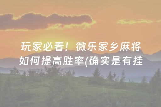 玩家必看！微乐家乡麻将如何提高胜率(确实是有挂的)