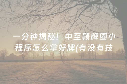 必备攻略“微乐吉林麻将助赢神器”（好友房怎么才能赢)