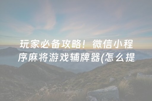 玩家必看“微乐福建麻将提高胜率”（装挂怎么安装)