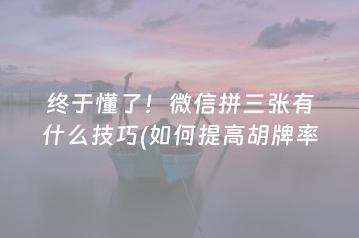 玩家必看科普“微信小程序麻将是否能开挂”（必赢神器免费安装)