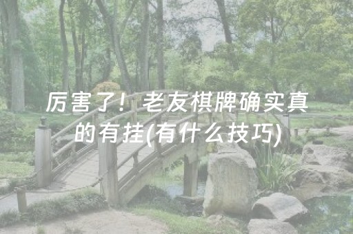 终于懂了“微乐四川麻将胡牌神器”（控牌神器)