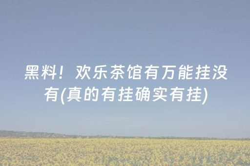 玩家必看“微乐广东麻将辅助器插件”（AI辅助胡牌规则)