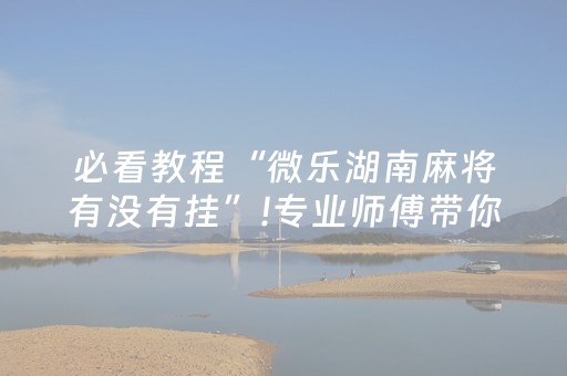 终于懂了“小程序麻将控牌神器”（怎么调胜率)