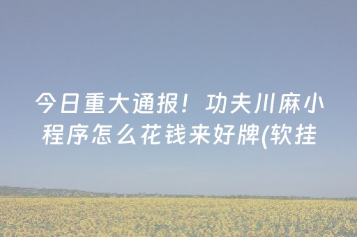 今日重大通报！功夫川麻小程序怎么花钱来好牌(软挂神器)