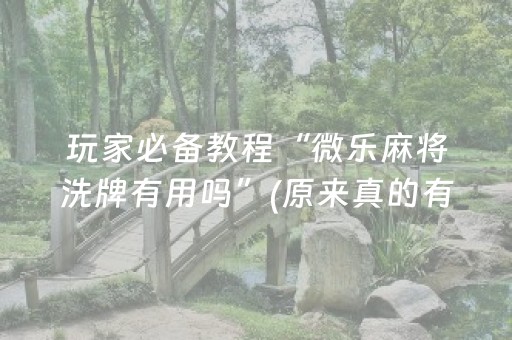 大神教教你“微乐填大坑辅助器免费版”（助赢神器购买)