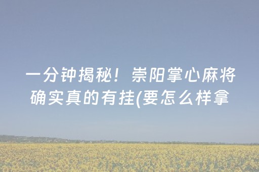 黑料“微乐湖北麻将专用神器”（装挂怎么安装)