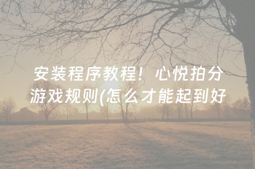 安装程序教程！心悦拍分游戏规则(怎么才能起到好牌)