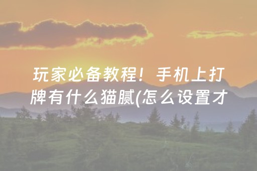 玩家必备教程！手机上打牌有什么猫腻(怎么设置才能赢)