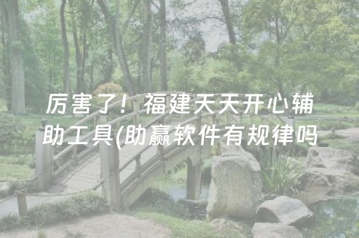 介绍十款“填大坑辅助器免费版”（开挂辅助脚本)