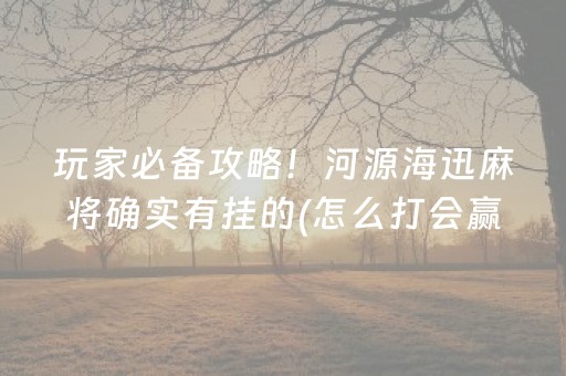 玩家必备攻略！河源海迅麻将确实有挂的(怎么打会赢)