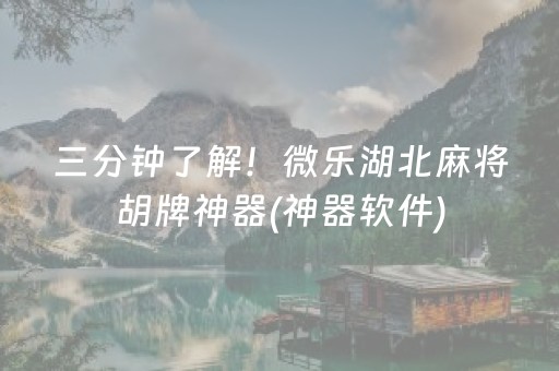 三分钟了解！微乐湖北麻将胡牌神器(神器软件)
