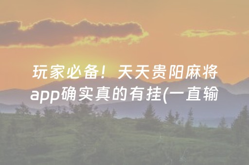介绍十款“微乐宁夏麻将插件”（AI辅助胡牌规则)