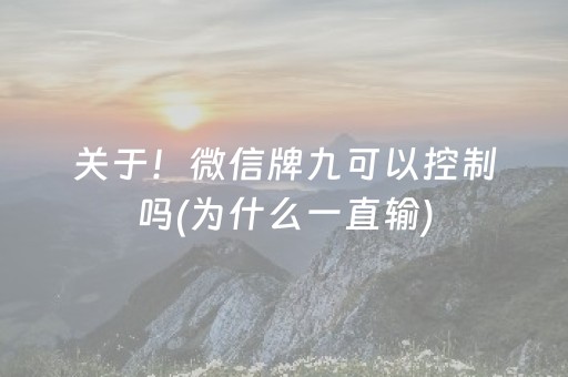 终于发现“微信小程序麻将软挂神器（专用辅牌神器免安装）