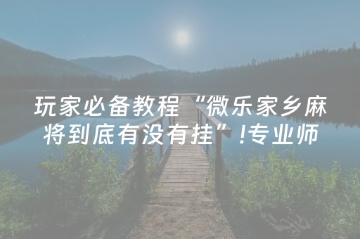 玩家必备教程“微乐家乡麻将到底有没有挂”!专业师傅带你一起了解（详细教程）-抖音