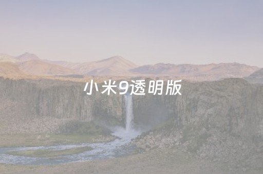 小米9透明版（小米9透明版为什么下架了）