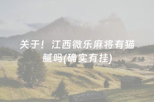 实测结果“胡乐麻将胡牌神器（专用辅牌神器免安装）