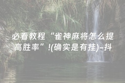 我来教大家“陕麻圈辅助软件（专用辅牌神器免安装）