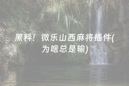 黑料！微乐山西麻将插件(为啥总是输)