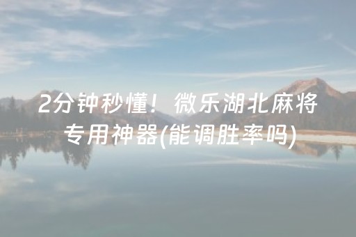 2分钟秒懂！微乐湖北麻将专用神器(能调胜率吗)