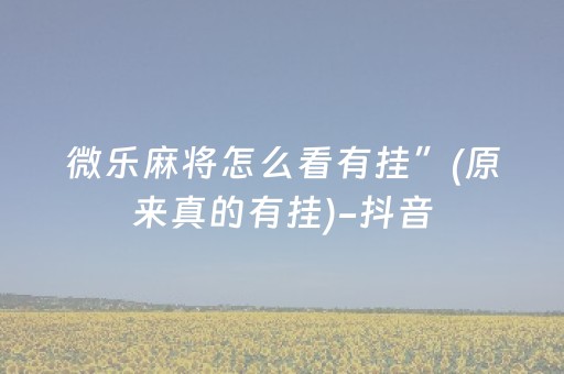 微乐麻将怎么看有挂”(原来真的有挂)-抖音