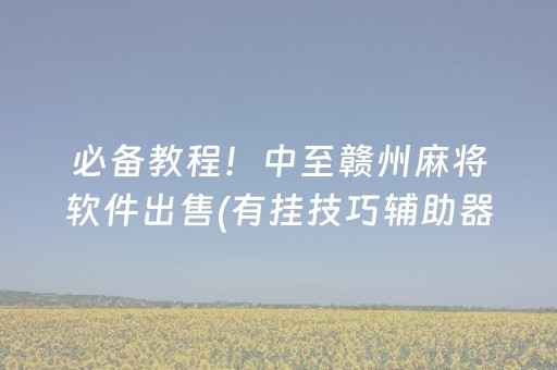 必备教程！中至赣州麻将软件出售(有挂技巧辅助器)